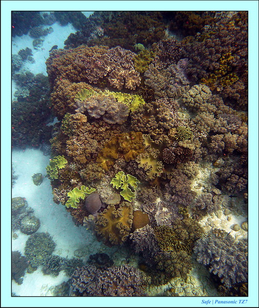 2012 - 07 - Apoh Island 21